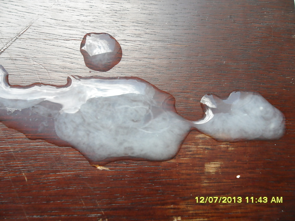 Lo nuevo de nuestros amigos
 #21775445