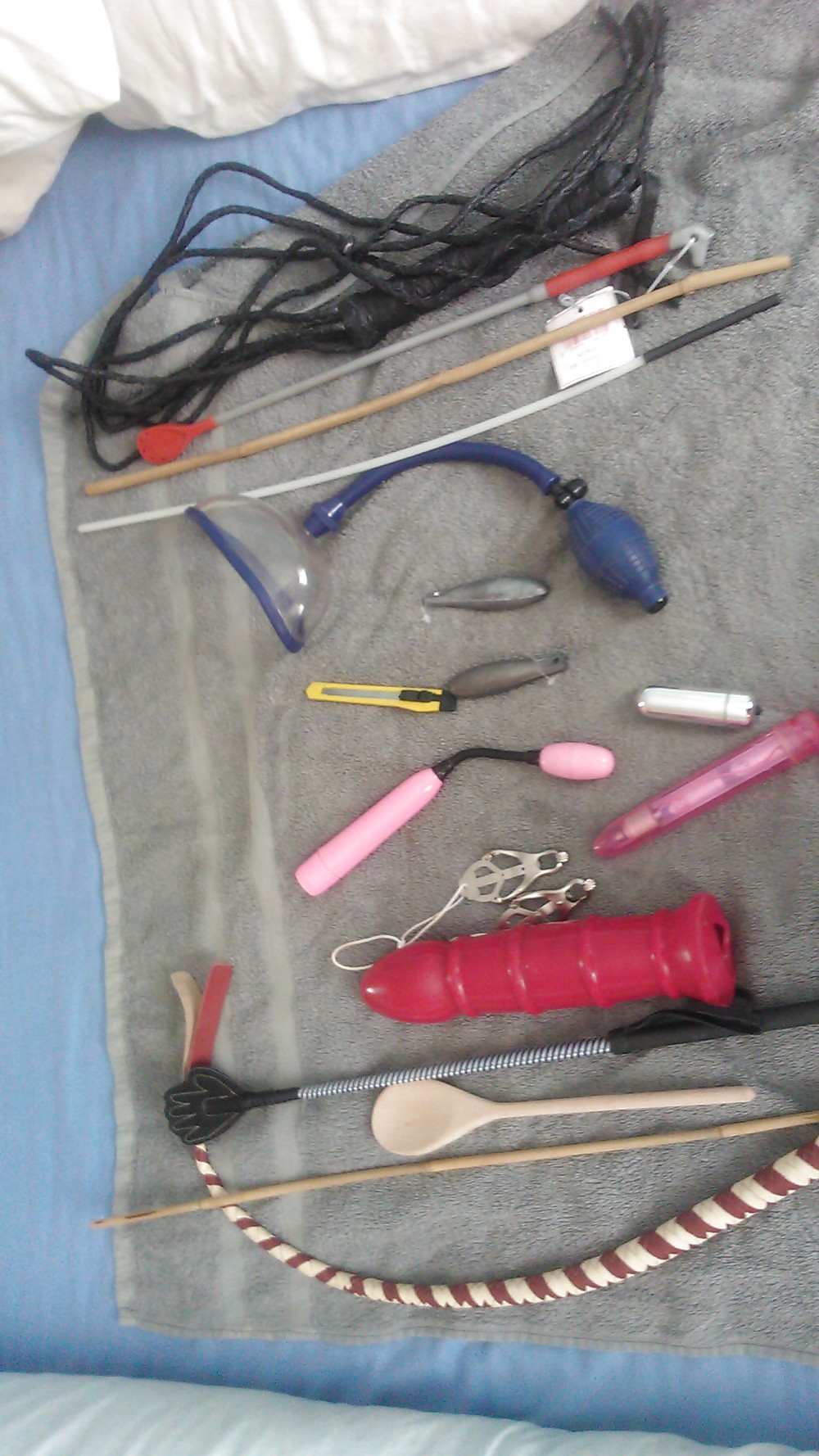 Scottish slut - toy box #9502267