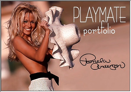 Pamela Anderson #902033