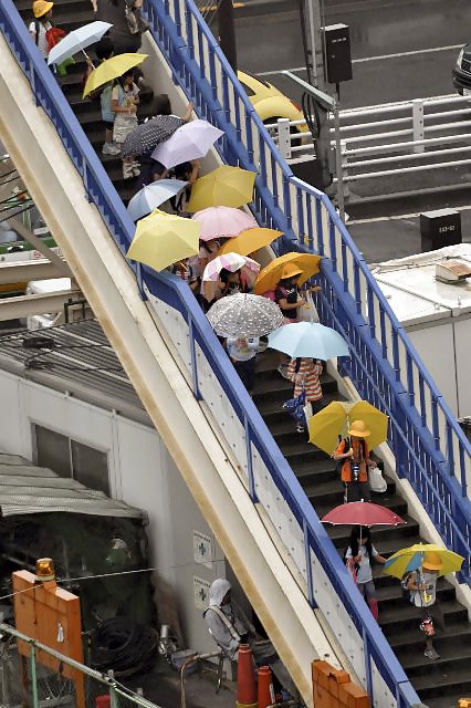 Japón profesional
 #12591673