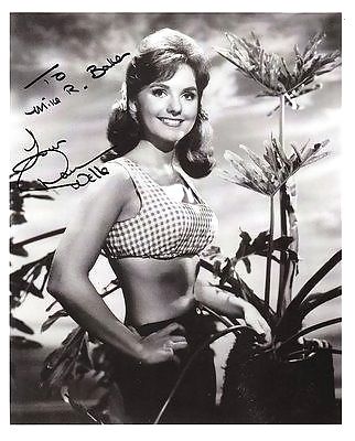 Dawn wells - mary ann summers
 #666611