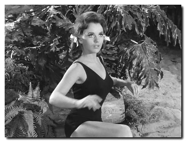 Dawn wells - mary ann summers
 #666676