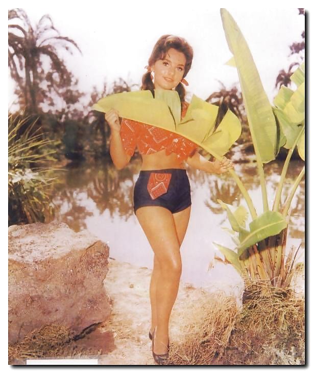 Dawn wells - mary ann summers
 #666707