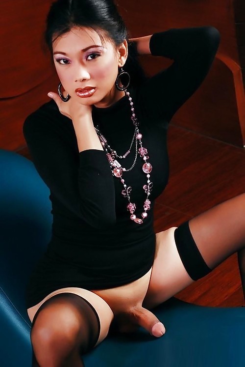 Algunos shemales6
 #15736991