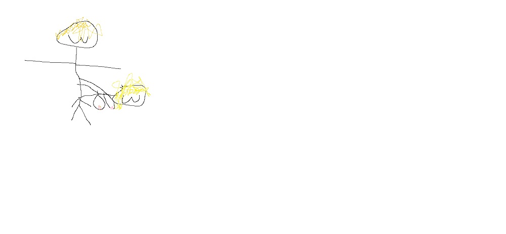 Zelda photos made in paint #20156304