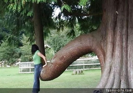 Pics that made me giggle
 #21056500