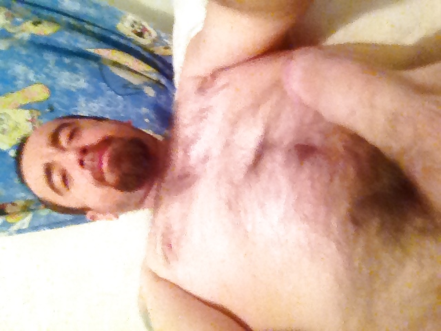 A N N Dan Bj #22555437