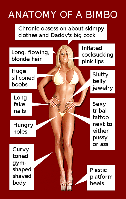Bimbos, hotties and barbies Part. 2 #11779692