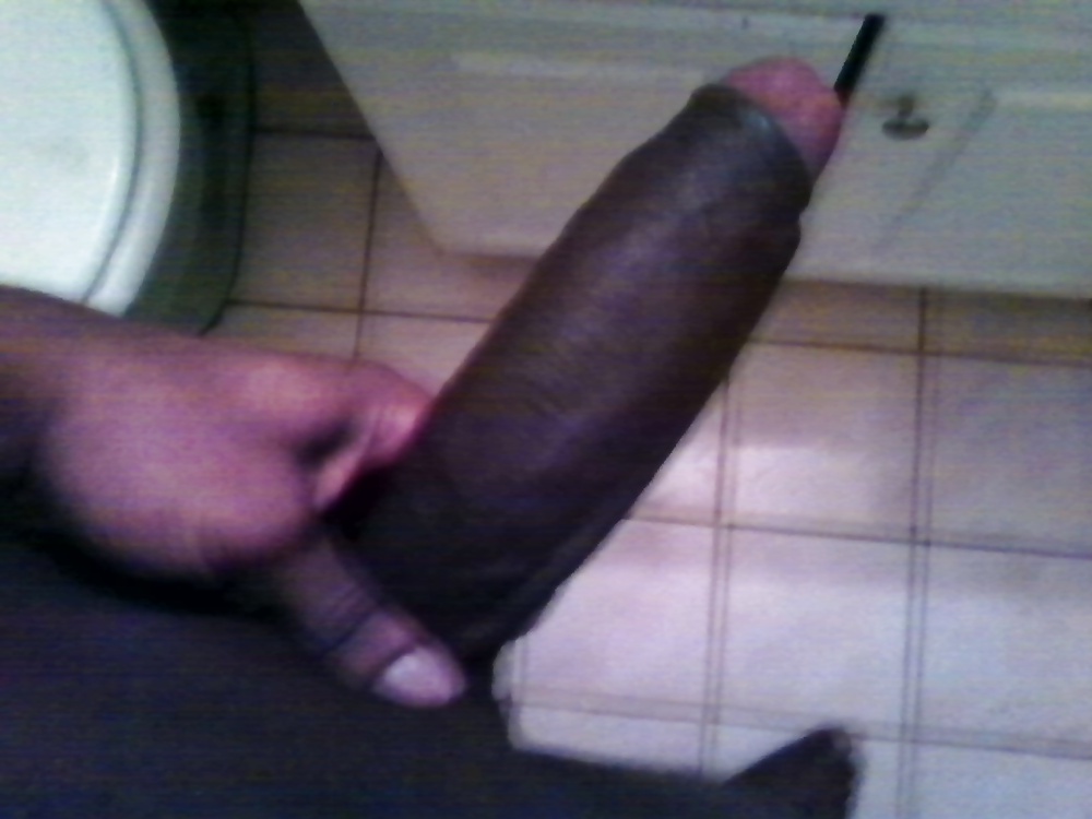 Mee
 #11321186