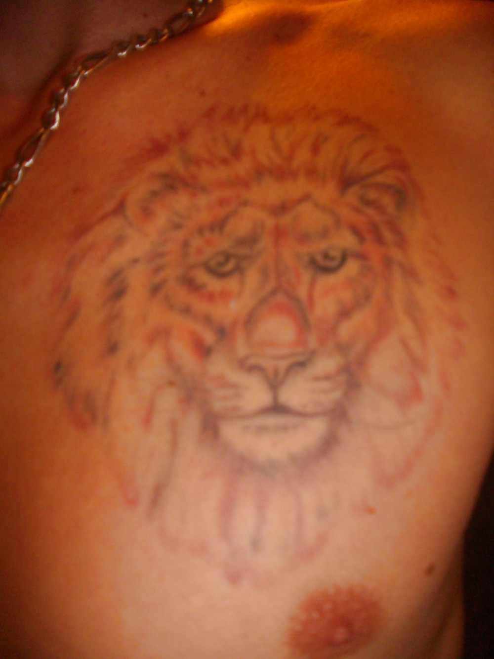 Mi tatuaje
 #1381851