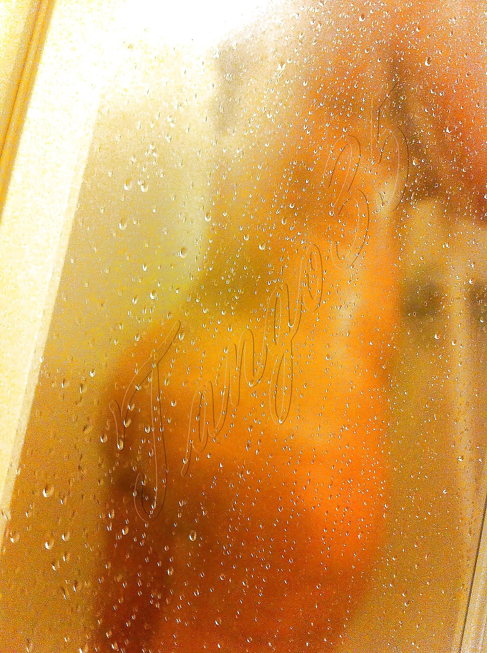 トルコ人カップル huseyin&ebru 2013.11.30 part III
 #22205181