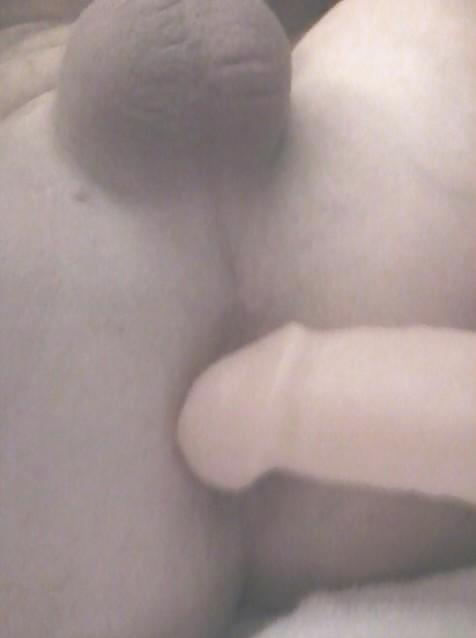 Hahn Der Liebe #10861786