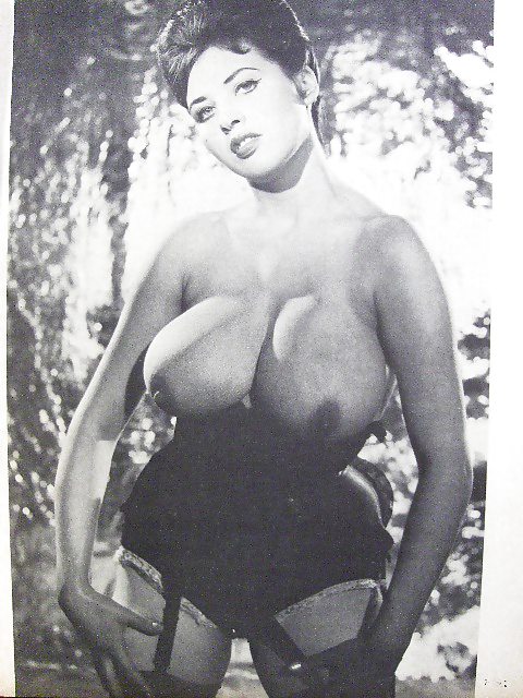 Einige Vintage Große Brüste #15870893