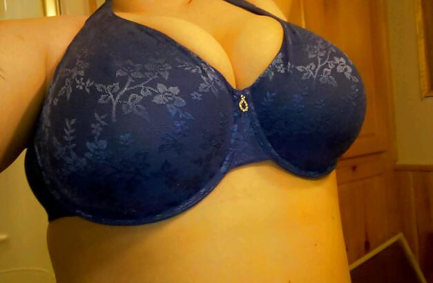 ブラジャー
 #5897275