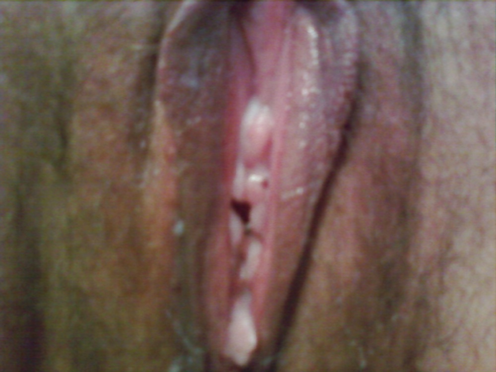 ソングバード
 #16581276