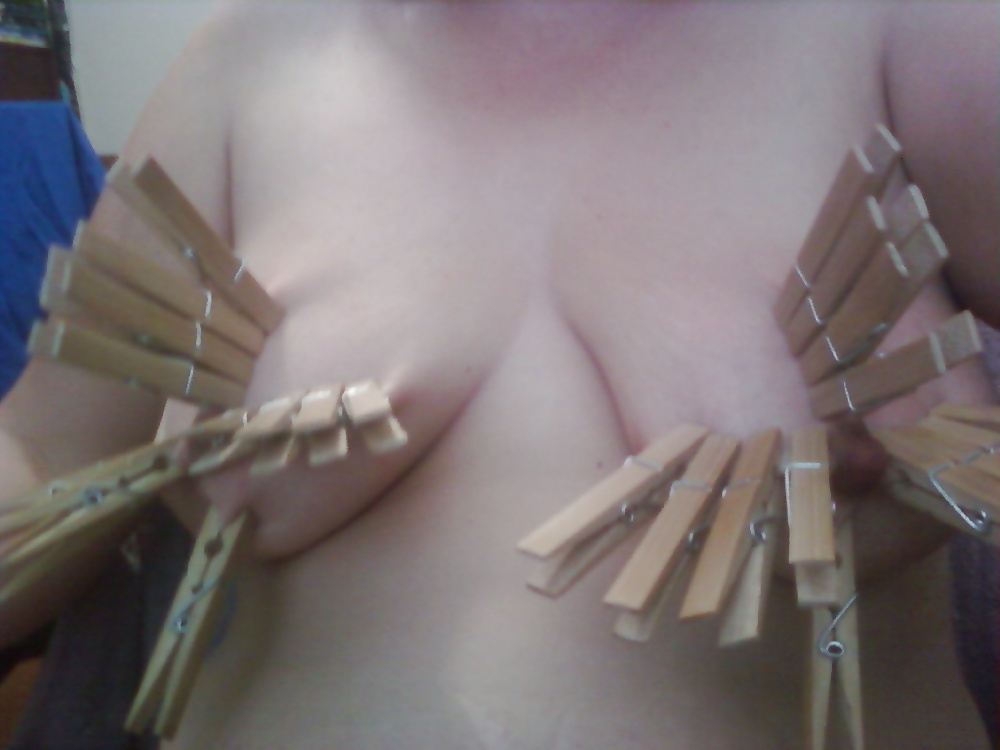 ソングバード
 #16581375