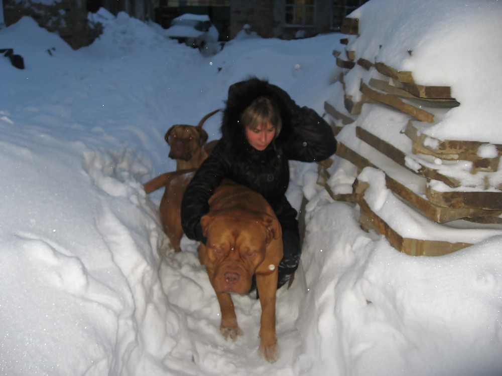 ボルカ・ザグレブ（クロアチア
 #21221705