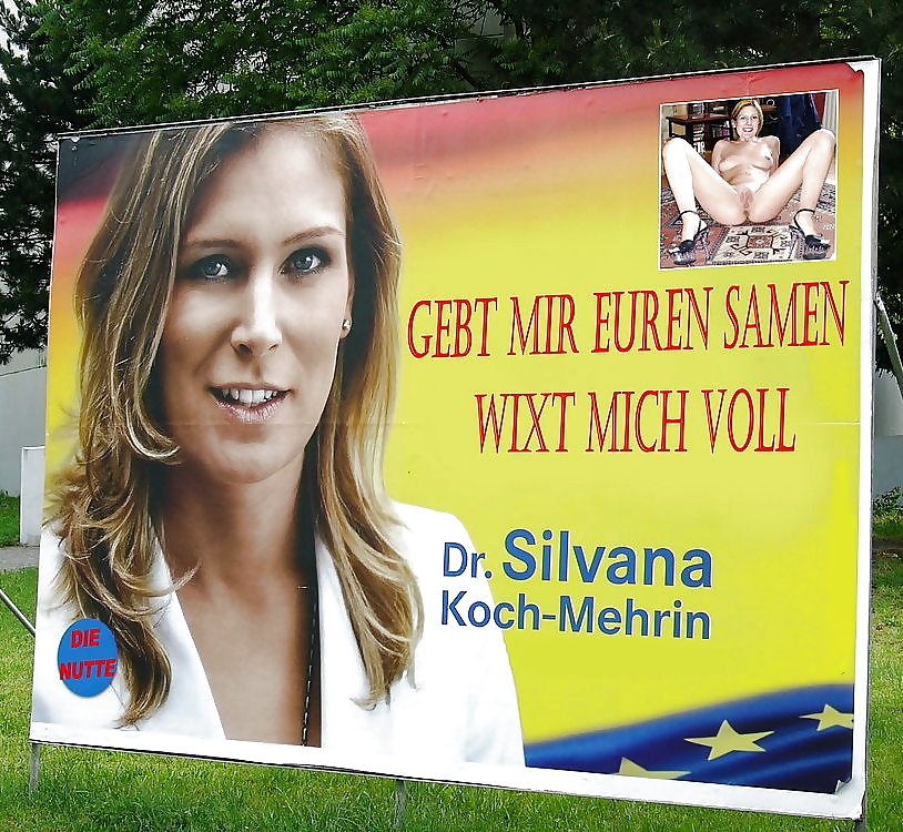 Promi-Wichsvorlagen (celebs) IV - Silvana Koch-Mehrin