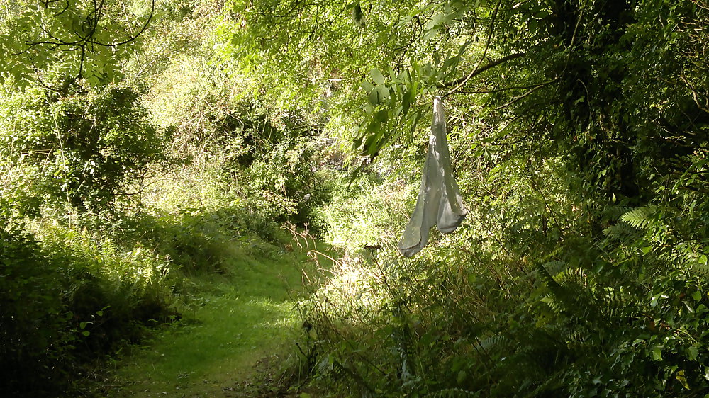 Höschen Ich Fand, Wenn Sie In Den Wald Zu Fuß Aus. #19706048