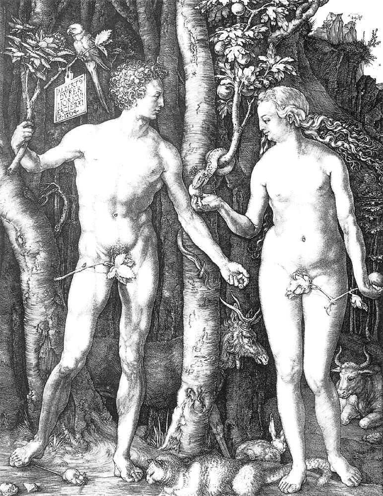Dessiné Ero Et Porno Art 35 - Albrecht Dürer #8169771