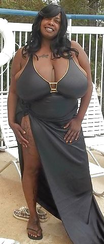 Mountainous Tit Black Ladies #9340163