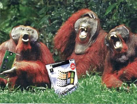 Microsoft bs #18802949