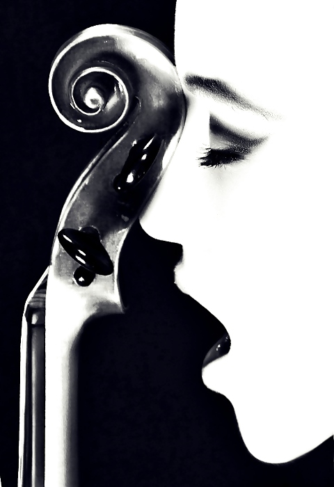 Black and White 252! #8884286