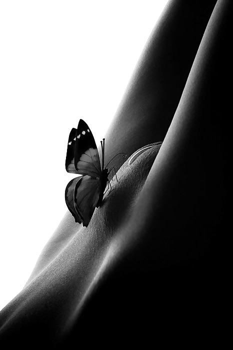 Black and White 252! #8884320