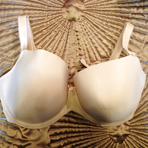 Copas G usadas
 #14469580