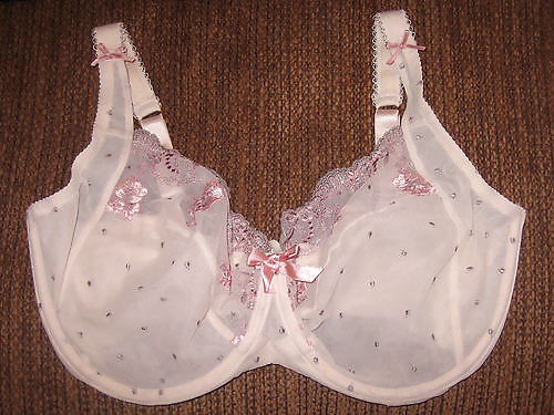 Copas G usadas
 #14469777