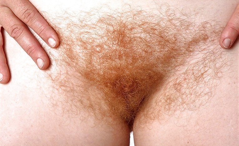 Hairy Bush in your Face #2676558