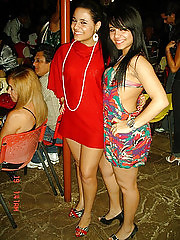 Gemeas de brasilia (brasil) #3534728