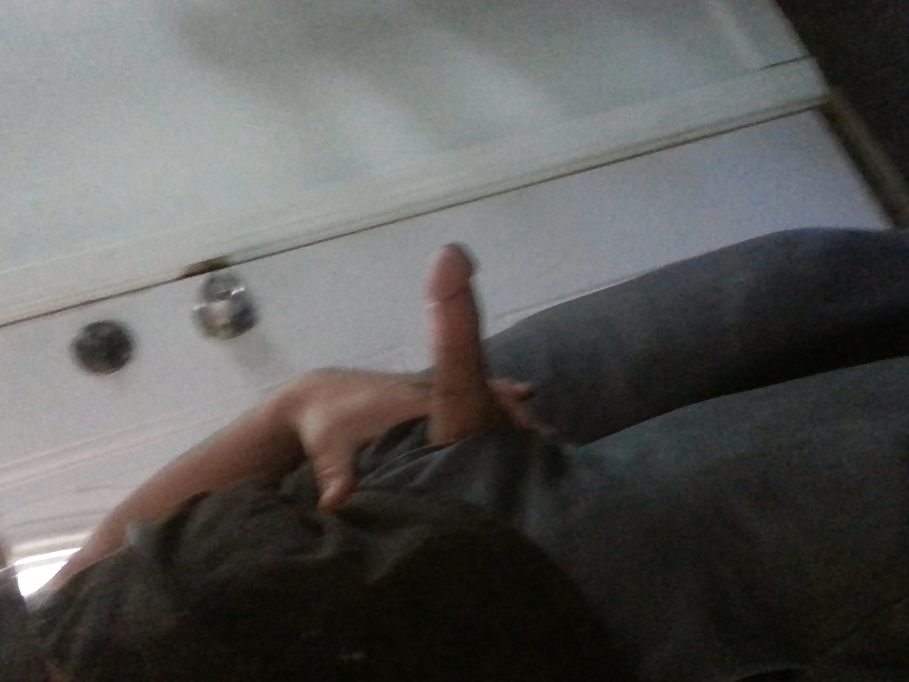 ハービー
 #15130895