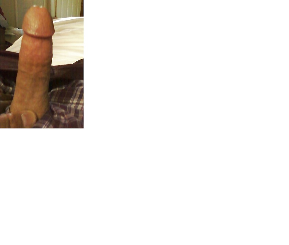 ハービー
 #15130912