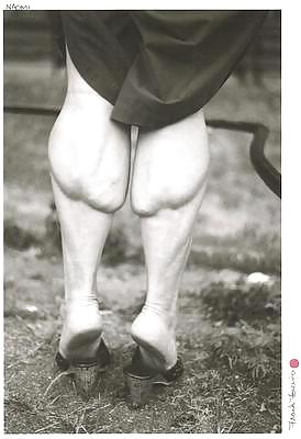 Pantorrillas musculosas femeninas
 #19309290