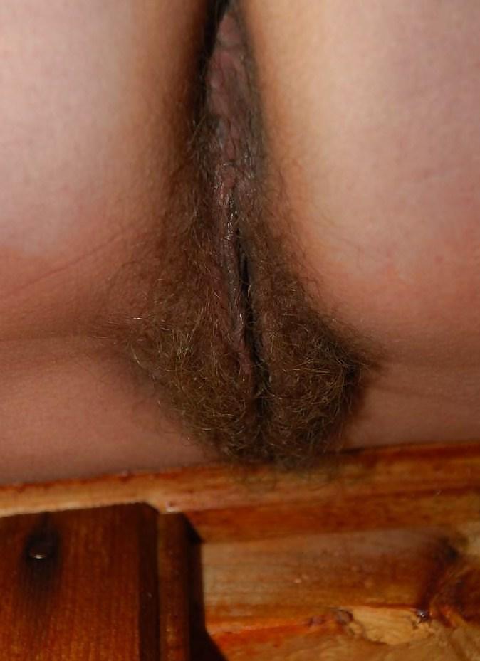 American hairy mature  #13209479