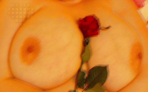 Experimente #10232921