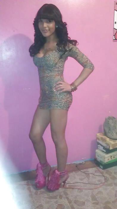 Novice CD 37 #10030953