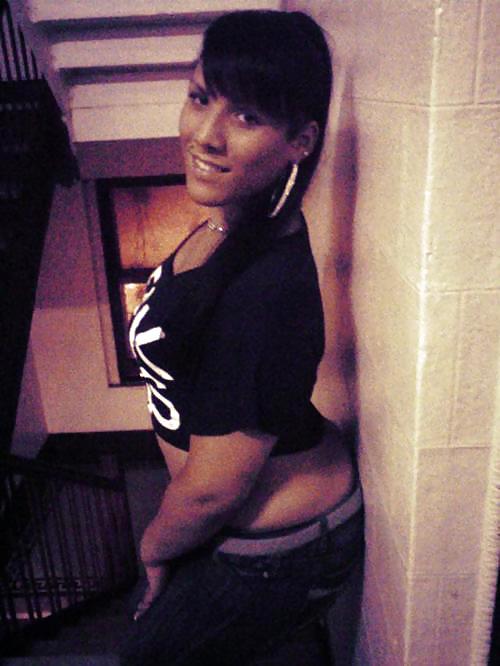 Novice CD 37 #10031000