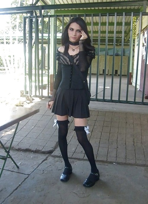 Novice CD 37 #10031008