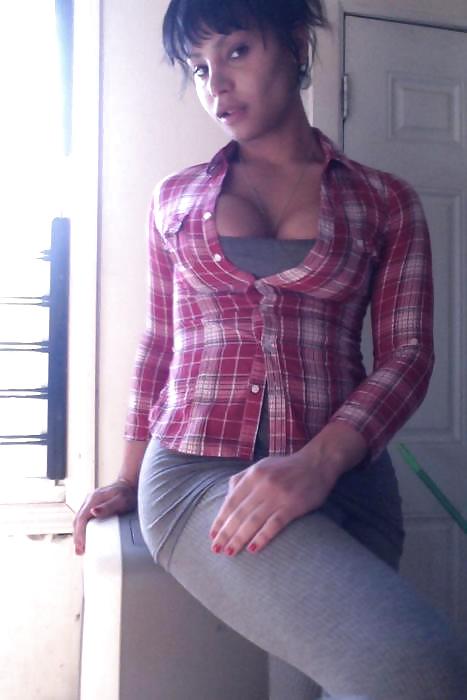 Novice CD 37 #10031134