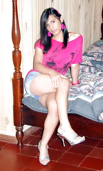 Novice CD 37 #10031180