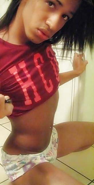 Novice CD 37 #10031279