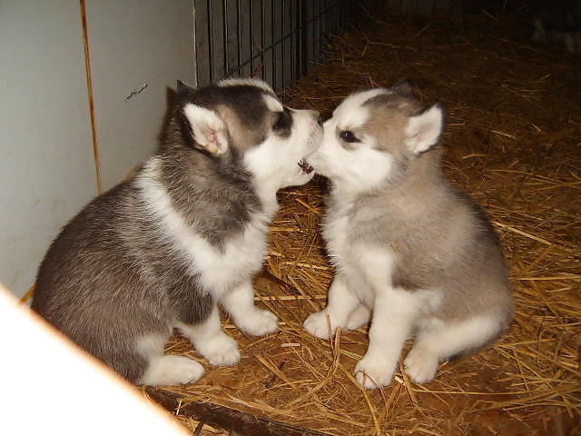 Funny pic vol.4 #1291031