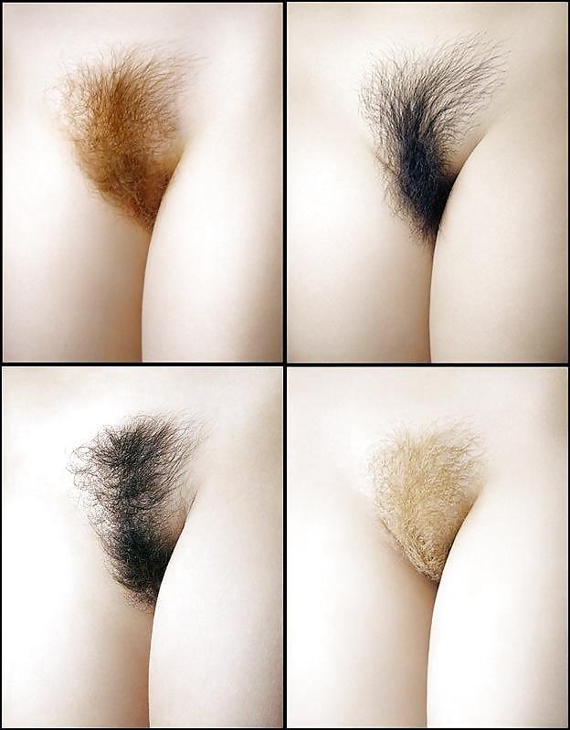 Fine Hairy Pussy #21810987