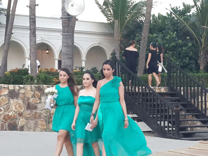 Jasmine #21928312