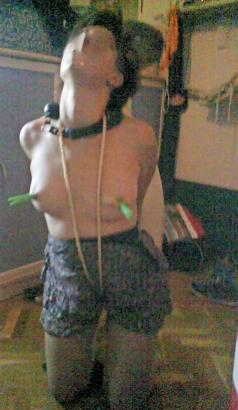 2010 my firs slave #10384634