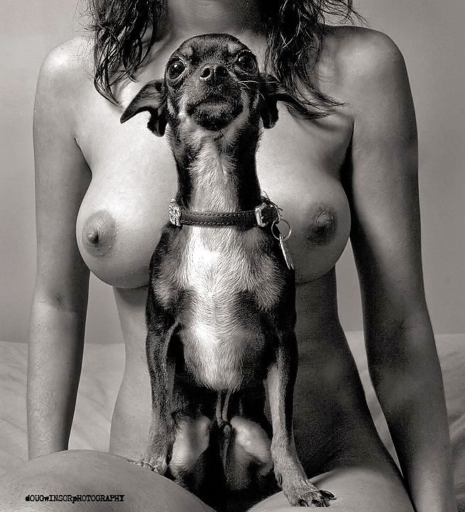 Lux by franchi
 #13128622