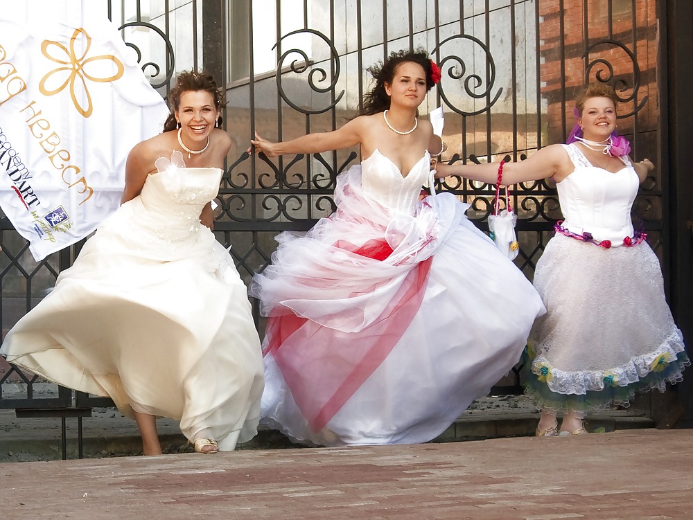 Novias 1.0
 #1958945