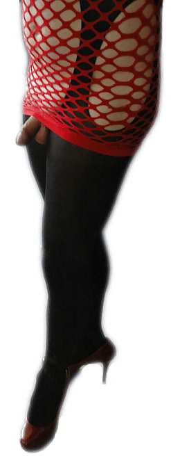 Maris labionda
 #11303848